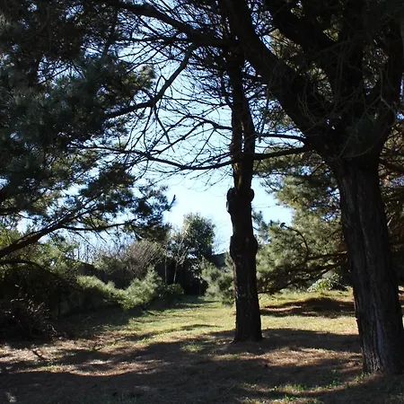 Dos Mares * Ferrol